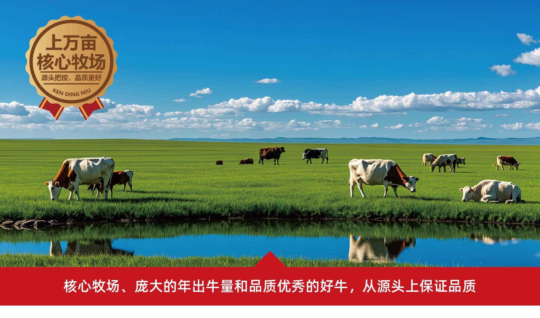 关于我们 -网页-11.jpg
